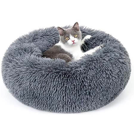 pet-accessories